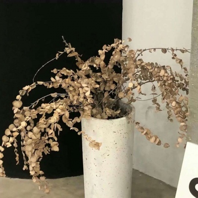 Furry绘画改稿思路Furry群